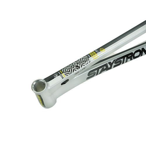 Stay Strong V5.1 Disc Alloy BMX Race Frame-Charcoal/Silver