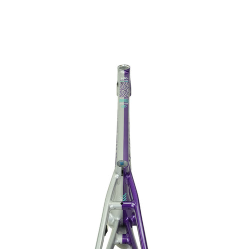 Stay Strong V5.1 Disc Alloy BMX Race Frame-Purple/Silver