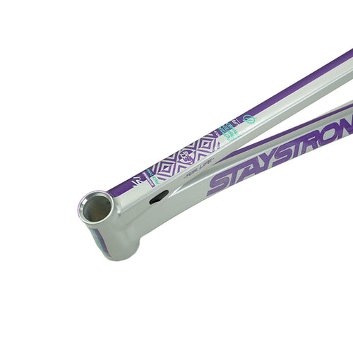Stay Strong V5.1 Disc Alloy BMX Race Frame-Purple/Silver