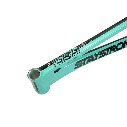 Stay Strong V5.1 Disc Alloy BMX Race Frame-Tiffany/Black