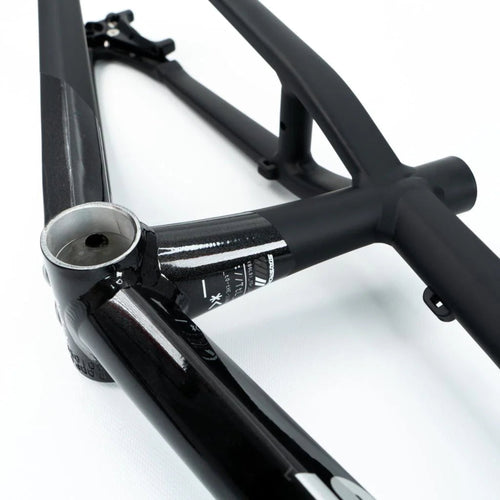 Stay Strong For Life V5 Disc Alloy BMX Race Frame-Black/Black